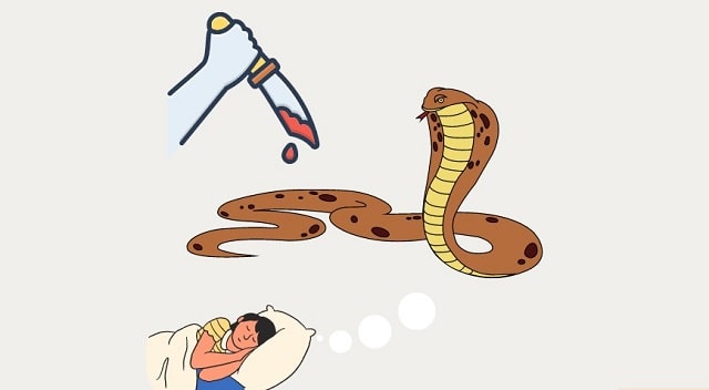 Nằm mơ thấy giết rắn có ý nghĩa gì? Đánh con lô bao nhiêu?