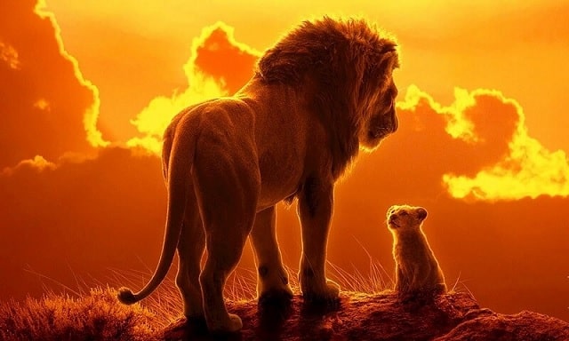 Mơ thấy sư tử đánh con gì? Là điềm báo lành hay dữ?