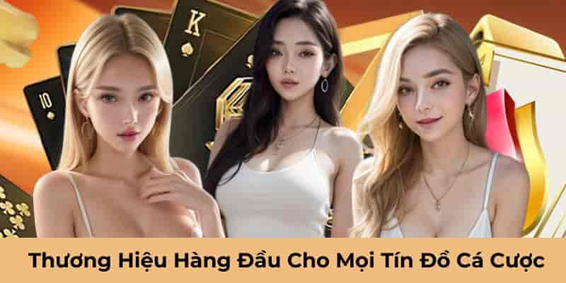 Thiết kế giao diện casino bắt mắt mang lại cảm giác thư giãn tuyệt đối