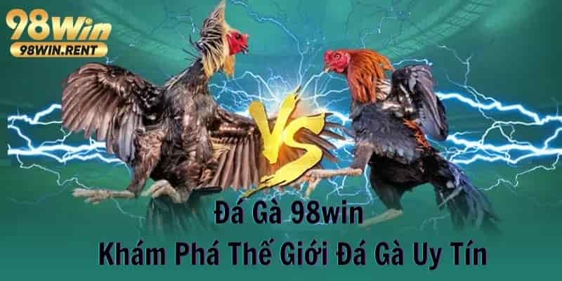 Kinh nghiệm chơi đá gà 98win hiệu quả 