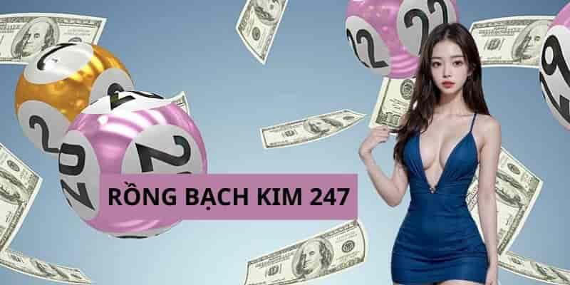 Rồng Bạch Kim 247 là kênh thông tin uy tín và đáng tin cậy